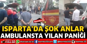 AMBULANSTA YILAN PANİĞİ