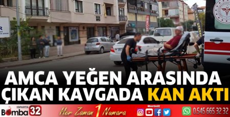Amca yeğen arasında çıkan kavgada kan aktı