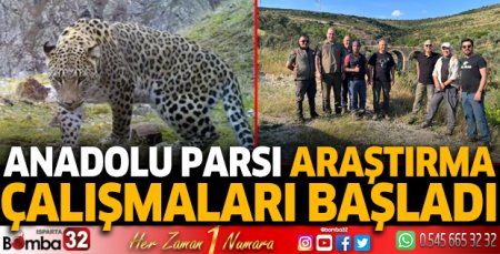 Anadolu Parsı araştırma çalışmaları başladı