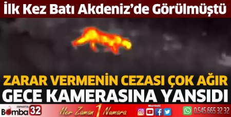 Anadolu parsından heyecanlandıran görüntü