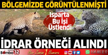 Anadolu parsının DNA'sı alındı, Dünya Gen Bankası'na girdi