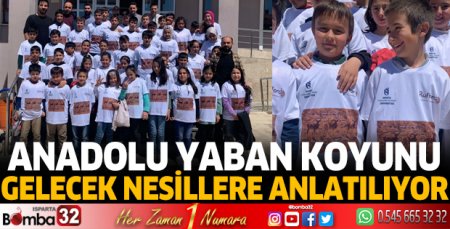 Anadolu Yaban Koyunu tanıtılıyor