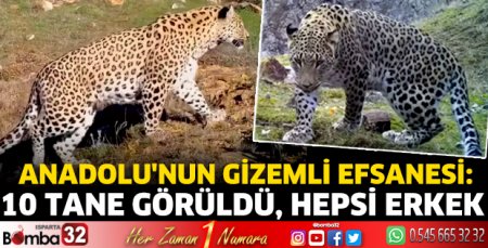 Anadolu'nun gizemli efsanesi
