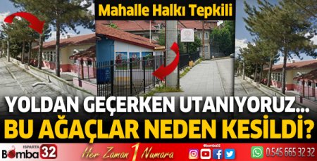 Anaokulu bahçesindeki ağaçlar neden kesildi?