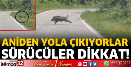 Aniden yola çıkıyorlar