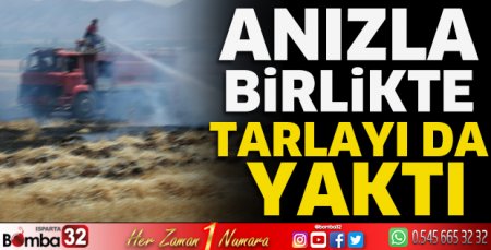 Anızla birlikte tarlayı da yaktı 