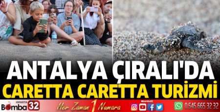 Antalya Çıralı'da caretta caretta turizmi
