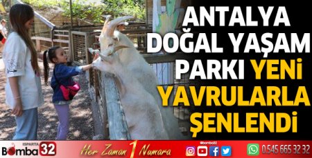 Antalya Doğal Yaşam Parkı yeni yavrularla şenlendi