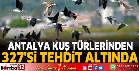 Antalya kuş türlerinden 327'si tehdit altında