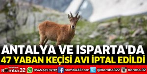ANTALYA VE ISPARTA'DA 47 YABAN KEÇİSİ AVI İPTAL EDİLDİ