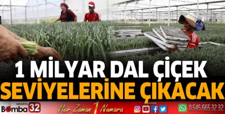 Antalya'da 1 milyar dal kesme çiçekten 165 milyon dolar gelir hedefi