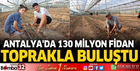 Antalya'da 130 milyon fidan toprakla buluştu