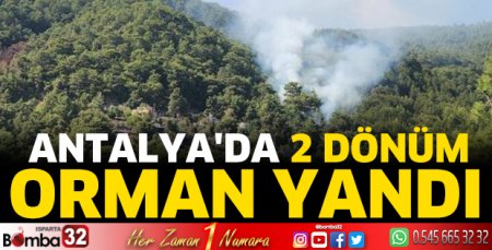 Antalya'da 2 dönüm orman yandı