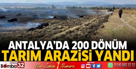 Antalya'da 200 dönüm tarla yandı