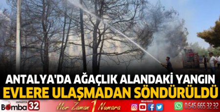 Antalya'da ağaçlık alandaki yangın, evlere ulaşmadan söndürüldü