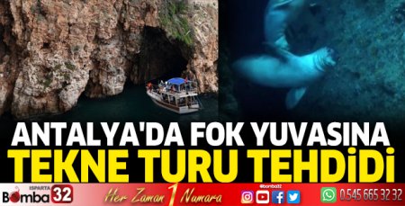 Antalya'da fok yuvasına tekne turu tehdidi