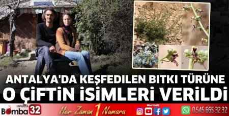Antalya'da keşfedilen bitki türüne o çiftin isimleri verildi