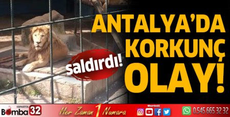 Antalya'da korkunç olay