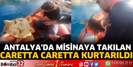 Antalya'da misinaya takılan caretta caretta kurtarıldı