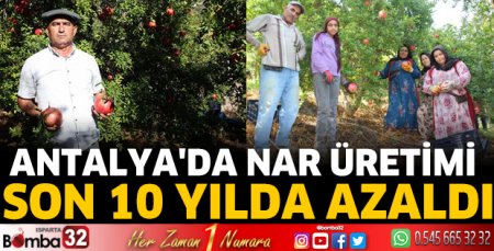 Antalya'da nar üretimi son 10 yılda azaldı