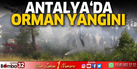Antalya'da orman yangını