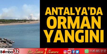 Antalya'da orman yangını