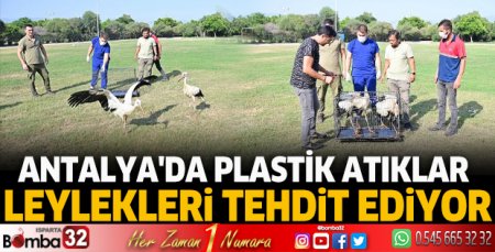 Antalya'da plastik atıklar leylekleri tehdit ediyor