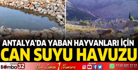 Antalya'da yaban hayvanları için can suyu havuzu