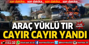 Araç yüklü TIR cayır cayır yandı!
