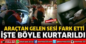 ARACIN MOTOR BÖLÜMÜNDE SIKIŞAN YAVRU KEDİ KURTARILDI