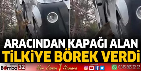 Aracından kapağı alan tilkiye börek verdi