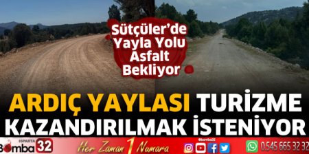 Ardıç Yaylası Turizme Kazandırılmak İsteniyor