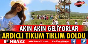 ARDIÇLI TIKLIM TIKLIM DOLDU