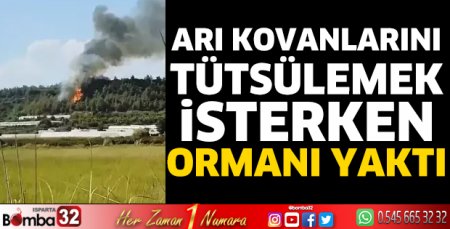 Arı kovanlarını tütsülemek isterken ormanı yaktı
