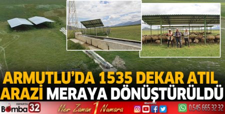 Armutlu’da 1535 dekar atıl arazi meraya dönüştürüldü