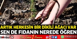 Artık herkesin bir diki ağacı var