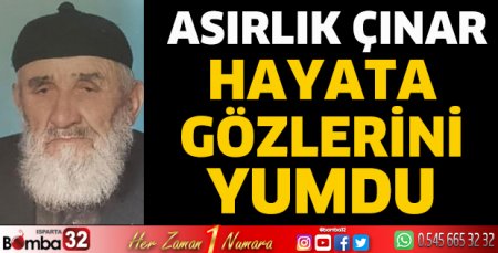 Asırlık çınar hayata gözlerini yumdu