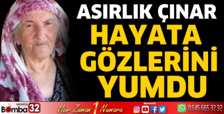Asırlık çınar hayata gözlerini yumdu