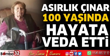 Asırlık çınar hayata veda etti