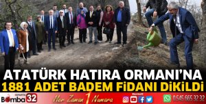 Atatürk Hatıra Ormanı'na 1881 adet badem fidanı dikildi