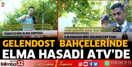 ATV Haber Gelendost elma bahçelerinde