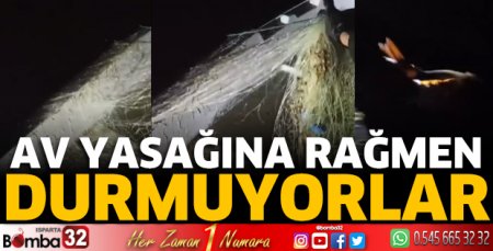 Av yasağına rağmen durmuyorlar