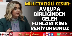 Avrupa Birliğinden gelen fonları kime veriyorsunuz?