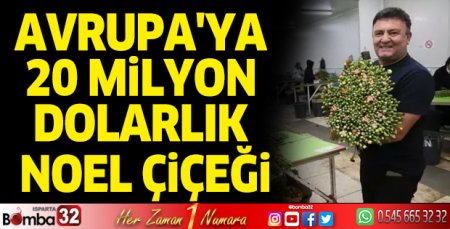 Avrupa'ya 20 Milyon Dolarlık Noel çiçeği
