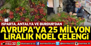 AVRUPA'YA 25 MİLYON LİRALIK NOEL ÇELENGİ