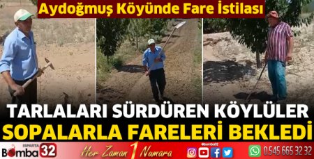 Aydoğmuş Köyünde Fare İstilası