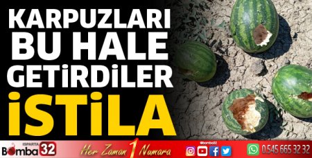 Aydoğmuş’ta fare istilası