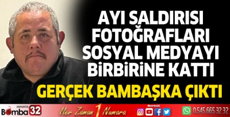 Ayı saldırısında yaralanan Amat değil