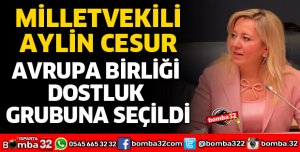 AYLİN CESUR AVRUPA BİRLİĞİ DOSTLUK GRUBUNA SEÇİLDİ