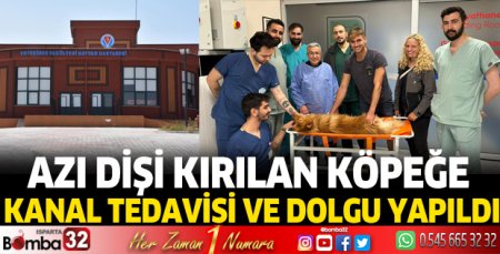 Azı dişi kırılan köpeğe kanal tedavisi ve dolgu yapıldı